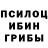 Галлюциногенные грибы Psilocybine cubensis Dezlle