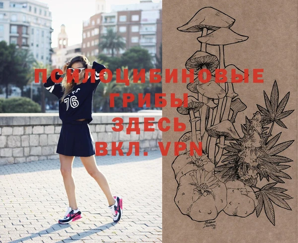 дмт Алексеевка