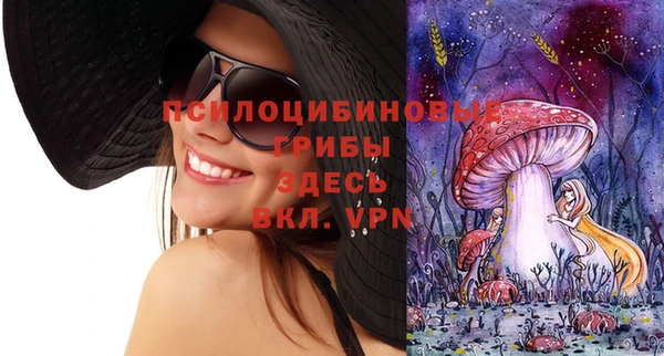 дмт Алексеевка