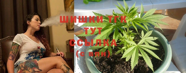дмт Алексеевка
