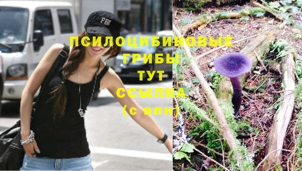 бошки Наволоки