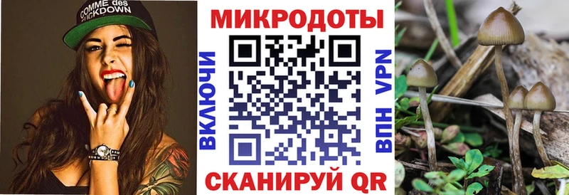 хочу   МЕГА ONION  Галлюциногенные грибы Psilocybe  Невинномысск 
